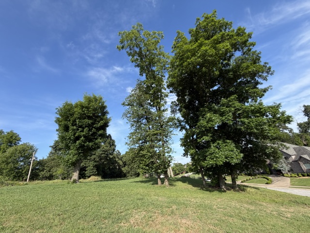 Build your dream home in the highly desirable Chattin Valley Subdivision! This exceptional homesite offers the perfect blend of convenience and natural beauty, providing easy access to everything Bentonville has to offer while preserving the peaceful charm of Northwest Arkansas living. Perched atop the subdivision, the property features stunning 180-degree panoramic views of the surrounding neighborhood and open green space beyond. Enjoy being just minutes from top-rated schools, the Bentonville Community Center, shopping, dining, and entertainment. Opportunities like this are rare—don't miss your chance to create a custom home with breathtaking views in one of Bentonville's most sought-after locations.