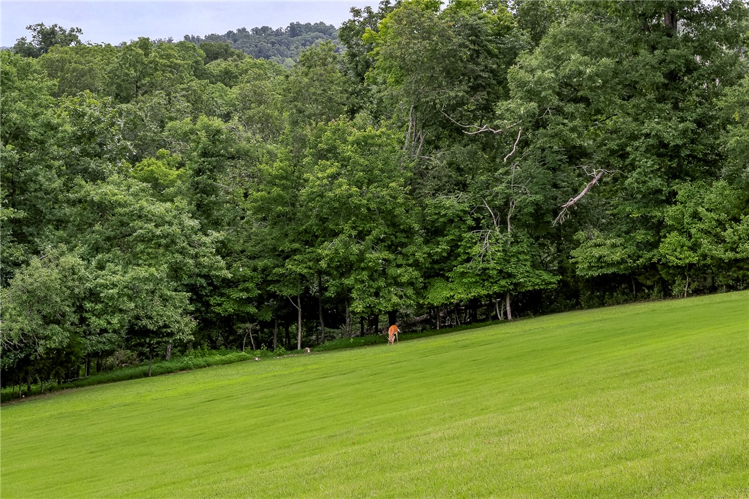 Estates Of Lakeway Ph 2, The Rurban - Residential