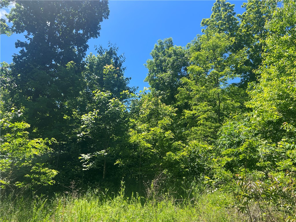 The property features a building site with lots of hardwood trees, NO restrictions, and has 8.58 Acres M/L. Call today to schedule a showing.