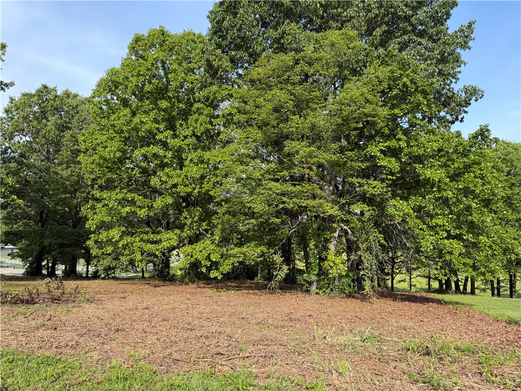 Discover the perfect opportunity to create your ideal home on this expansive 4.21-acre lot, nestled in one of the area’s most desirable neighborhoods. This beautiful property offers the convenience of underground utilities, preserving the clean and modern aesthetic of the surroundings. With ample space and a prime location, this is your chance to build your dream home.