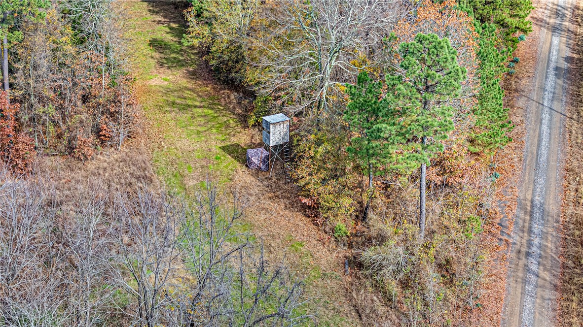 40± Acres – Ideal for Hunting, Building, or a Peaceful Getaway
Discover your own slice of the outdoors with this beautiful 40± acre property located just 18 miles north of Morrilton. Whether you’re looking to build your dream home, a secluded cabin retreat, or enjoy exceptional hunting, this land offers endless possibilities. Conveniently situated just minutes from the Ozark National Forest, you’ll have easy access to thousands of acres of recreation, hiking, and wildlife exploration.  MLS# 1329289 is also Listed, borders North Side.