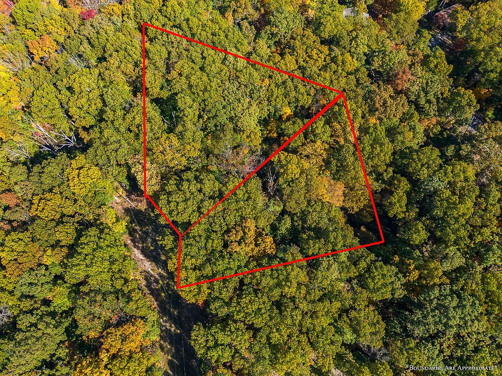 Welcome to your own private access to the Back 40 and Bear Hollow Cave on a .63 acre Double Lot. Nestled in a serene setting, this land offers a blank canvas for you to create your dream destination. Whether you envision building a private retreat, designing a sprawling garden, or constructing an architectural masterpiece, the possibilities are endless. Low inclines will make building easier and more cost effective, and with a lot this large, septic won't have the same constraints as lots have this size.