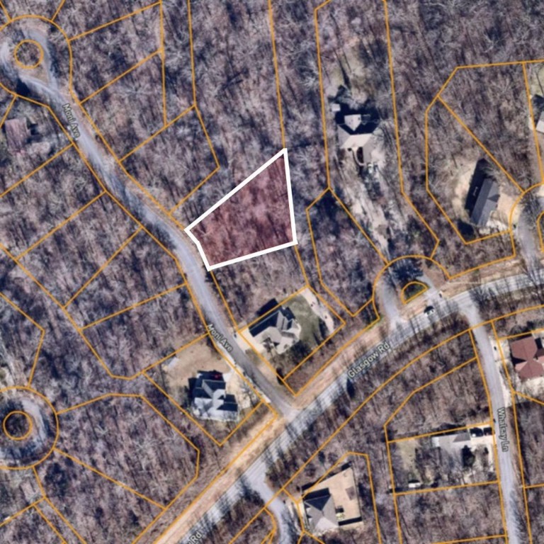 Don't miss the opportunity to own a piece of land in a scenic and serene location. The lot is wooded and sloped, with easy access to the road and utilities. . You can build your dream home or cabin, or use it as an investment property.  Seller finance option is available!