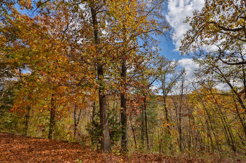 rural - Land