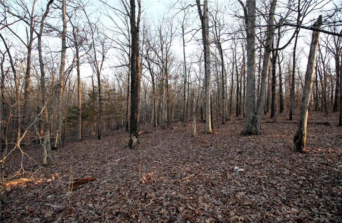 Gentle Acres - Land