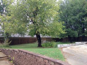 Woodland Heights - Residential