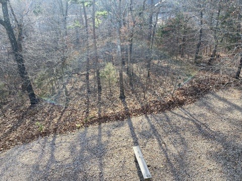 Forest Hills - Residential Lease