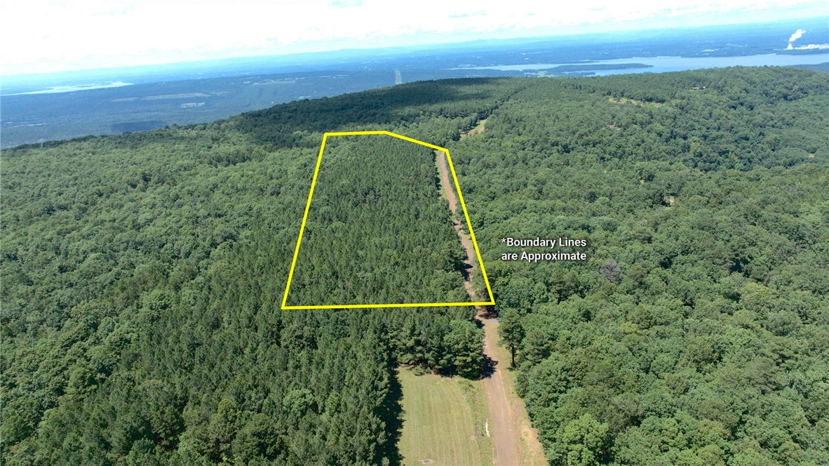 The Spring Mountain Airstrip Lot is a level 10 acre mountaintop tract bordering John Harris Field Airport, offering a rare opportunity to create a fly-in, fly-out mountain retreat. The flat topography provides multiple ideal homesites with room for a private hangar, full-time residence, or weekend getaway. A spring-fed creek along the northern boundary offers excellent potential for a private pond, while the 2005 planted pine plantation is ready for thinning or harvest, providing immediate timber value. Spring Mountain is known for exceptional populations of whitetail deer, wild turkey, and black bear, making the property equally attractive for recreation and hunting. Access is provided by a privately maintained mountain road with shared annual maintenance. Located just west of Mount Nebo State Park, this property offers a unique combination of privacy, recreation, timber value, and aviation access.
Additional adjoining tracts are also available. A new survey will be needed - seller has agreed to split the cost.