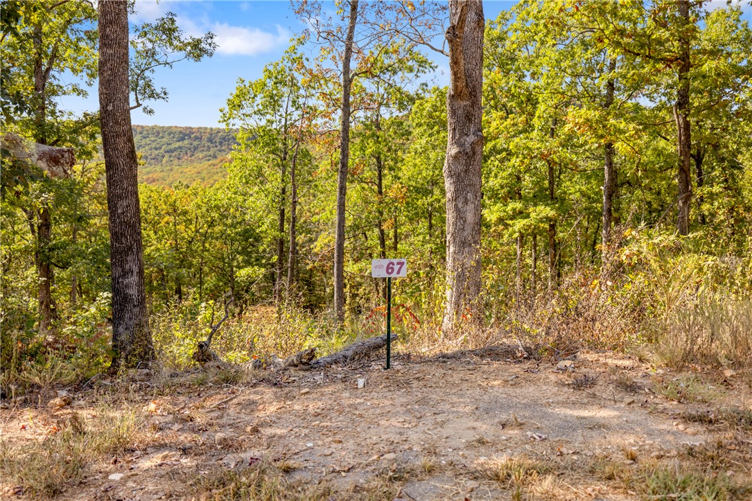 Round Mountain Estates - Land