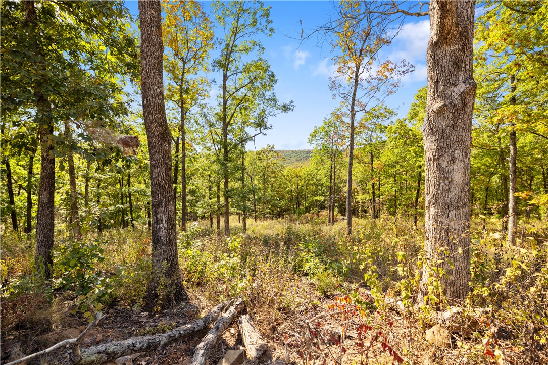 Round Mountain Estates - Land