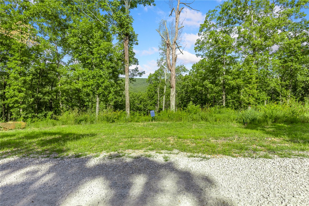 The groundwork is already done for you! This lot comes fully equipped with underground utilities already in place, including natural gas, fiber optic internet, electric, public water, and sewer. No waiting, no guesswork, no costly setup—just a smooth, ready-to-build opportunity from day one.  RME is the newest subdivision in Harrison, AR. If you’ve been dreaming of trading city lights for star-filled skies, RME delivers. Beyond your homesite, you’ll have access to a 350 acre common area reserved for residents, featuring a stocked fishing pond, Kissing Rock Trail, natural springs, Baby Canyon Trail, striking bluff lines and views that stretch for miles. *Terrapin Creek Rd will be paved to the entrance of Round Mountain Estates in the near future, per county officials.