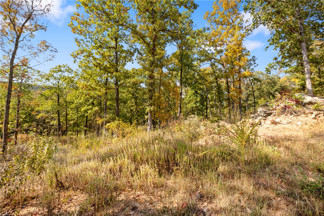 Round Mountain Estates - Land