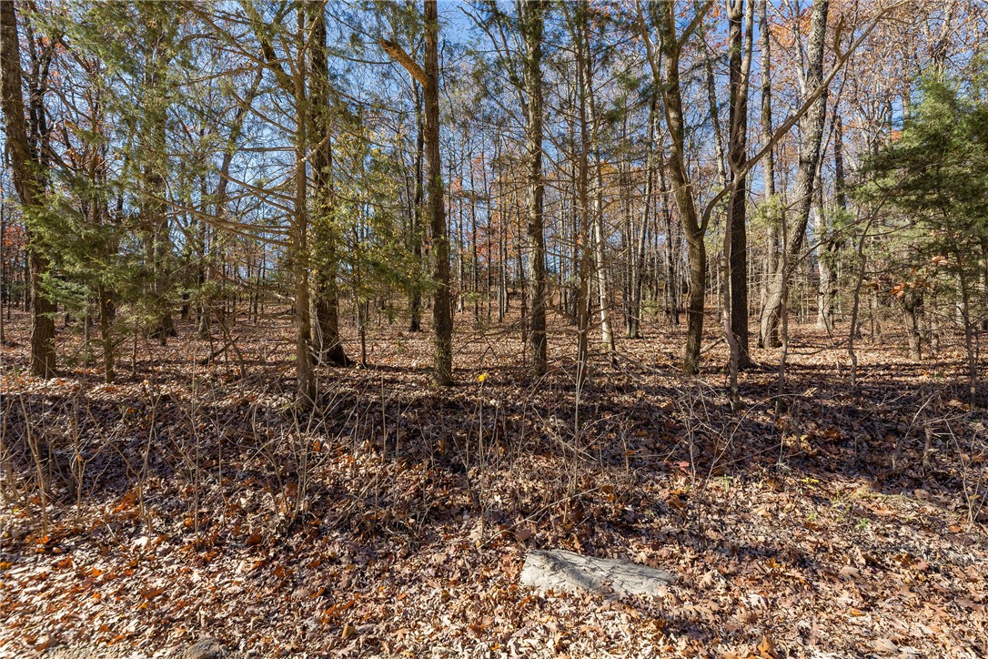 Are you ready for the best country living has to offer? Only 35 minutes from the Fayetteville Square and just a few miles from Harp's in Elkins.  This gently sloping lot covered in hardwood timber is just waiting for you.