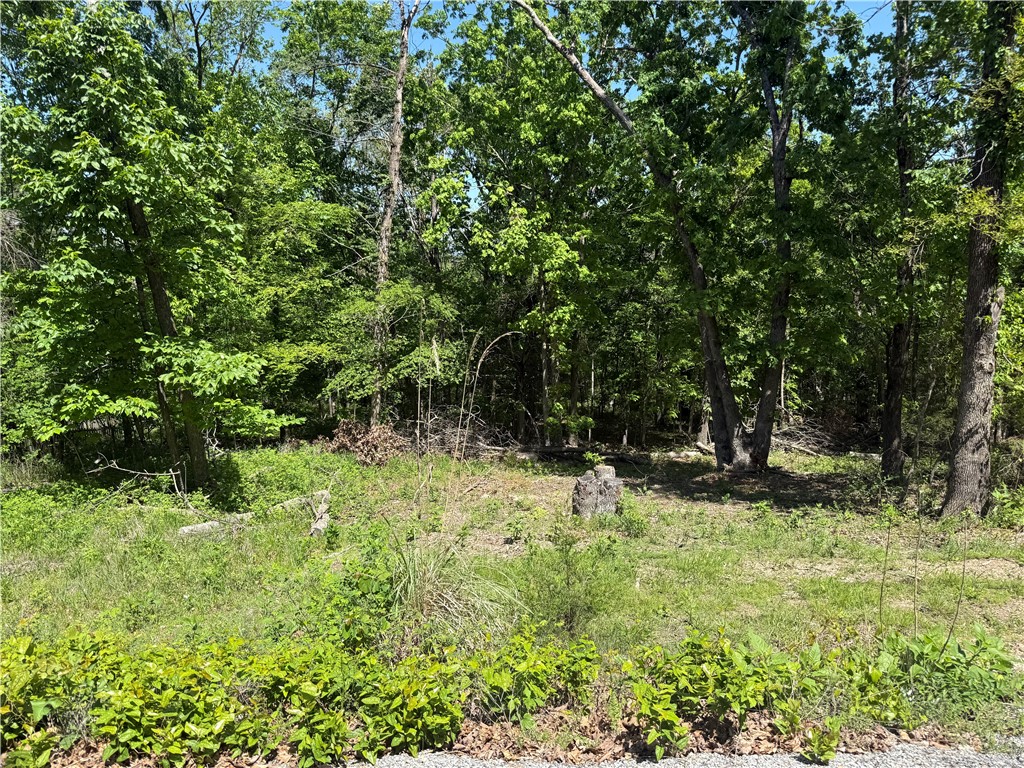 This beautiful wooded property is located on Holiday Island! Just shy of an acre & recently cleared at the top, it boasts a gracious space for a new home. The scenic property lines up to Stateline. Close to amenities such as Sunfest, bank & post office. A short 10 min drive to the marina, near both golf courses, recreation center and swimming pools. A great area with a lot of fun to explore! A short 15 min drive to Eureka Springs, 30 mins to Roaring River or 45 minutes to Branson.