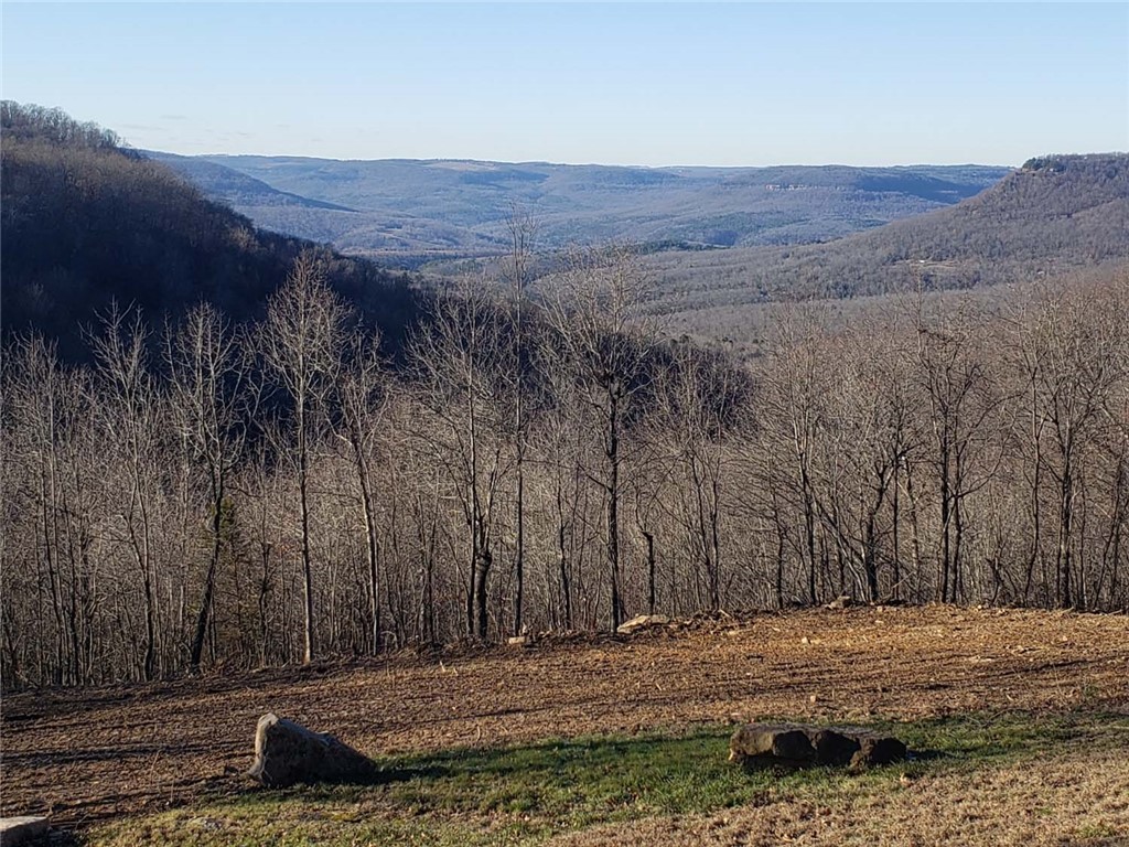 Nestled in the heart of the Ozarks just minutes from Scenic Hwy 7 and the historic Jasper square, this beautifully updated 3 bedroom, 2 bathroom home offers the perfect blend of comfort, convenience, and breathtaking mountain scenery. Situated on just over 2.3 acres, the property features stunning Ozark Mountain views and a peaceful setting while remaining close to hiking trails, the Buffalo National River, and all the outdoor recreation the area is known for.

Inside, you’ll find an inviting layout with modern updates throughout and an open basement offering endless possibilities for additional living space, recreation, storage, or a workshop area. Whether you’re looking for a full-time residence, vacation getaway, or investment opportunity, this property captures the beauty and lifestyle of Jasper living with easy access to some of Arkansas’ most sought-after destinations.