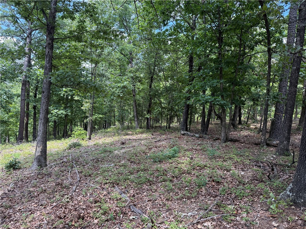 Lake Lucerne Subdivision - Land