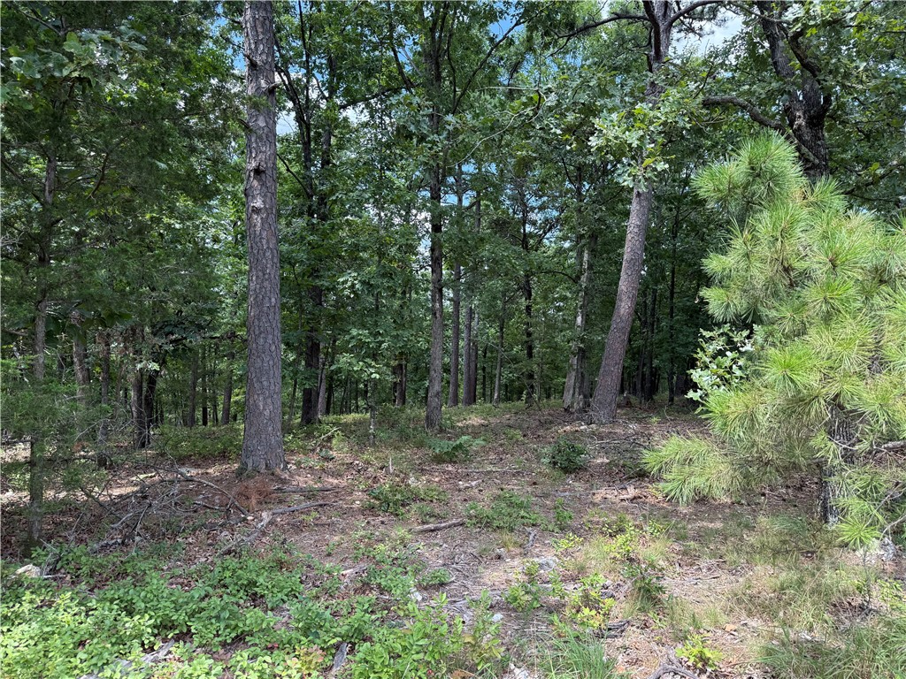 Lake Lucerne Subdivision - Land