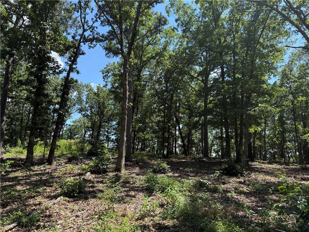 Lake Lucerne Subdivision - Land