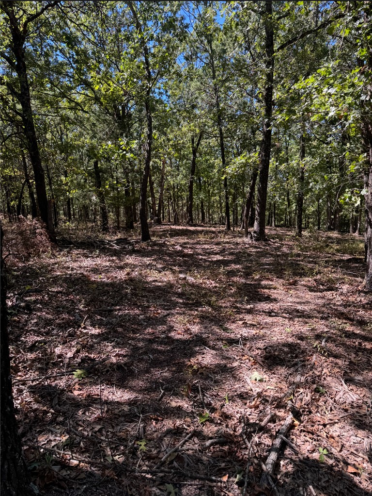 Lake Lucerne Subdivision - Land