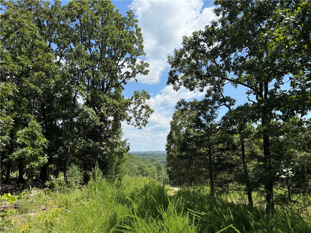 Lake Lucerne Subdivision - Land