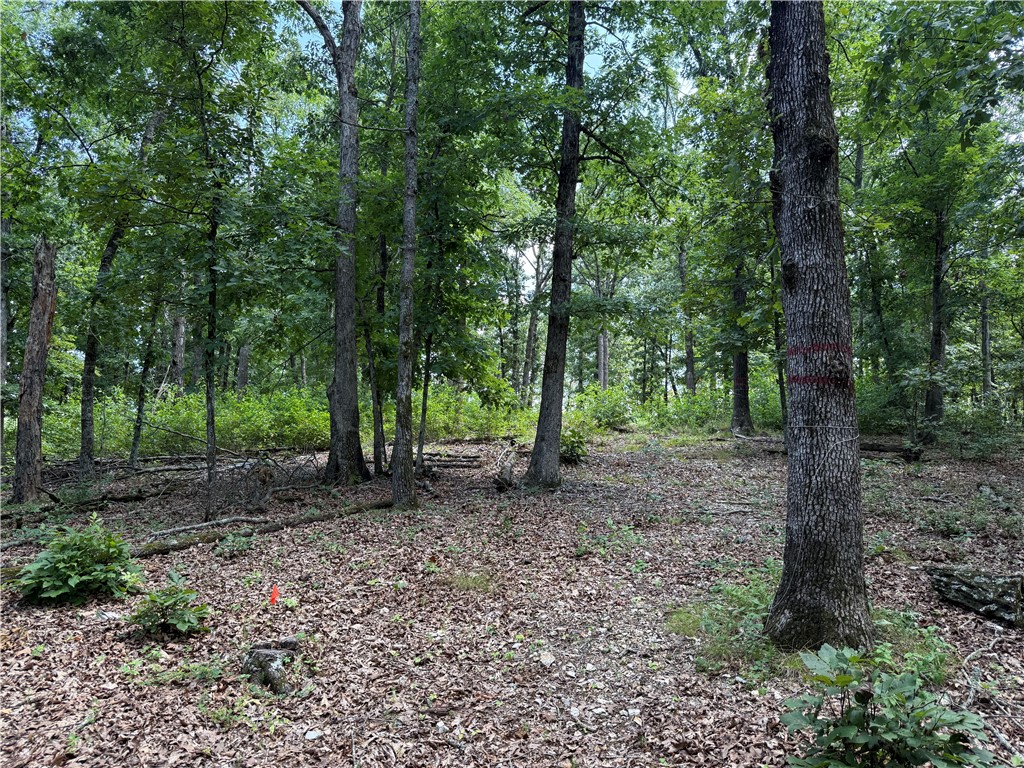 Lake Lucerne Subdivision - Land