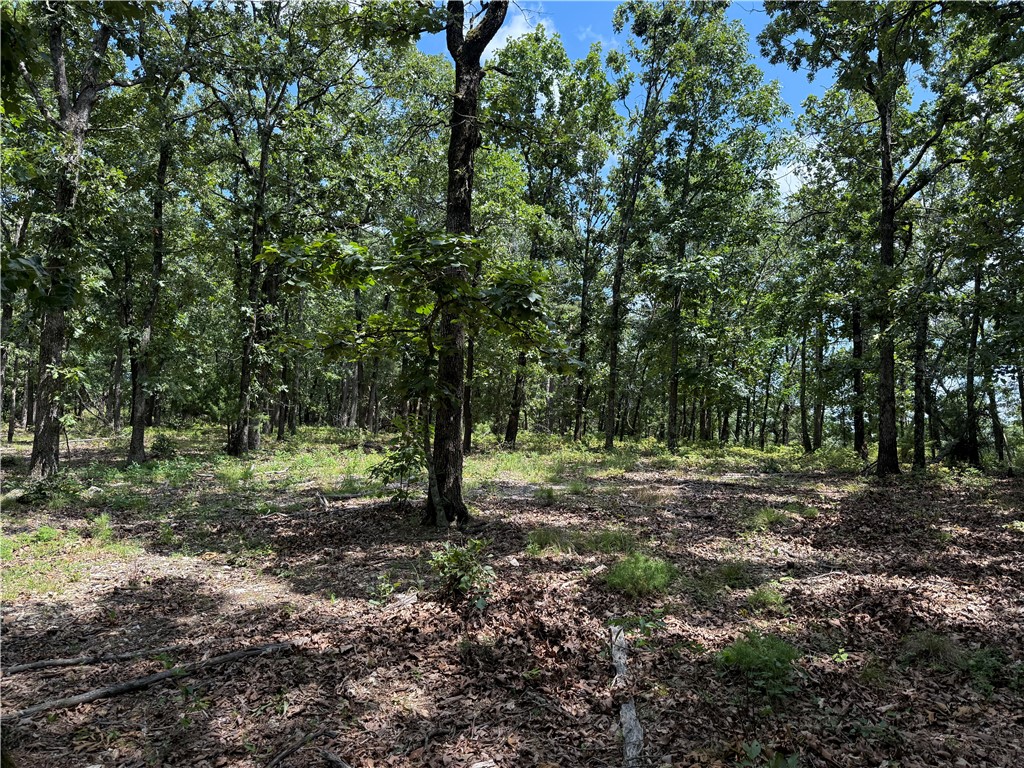 Lake Lucerne Subdivision - Land