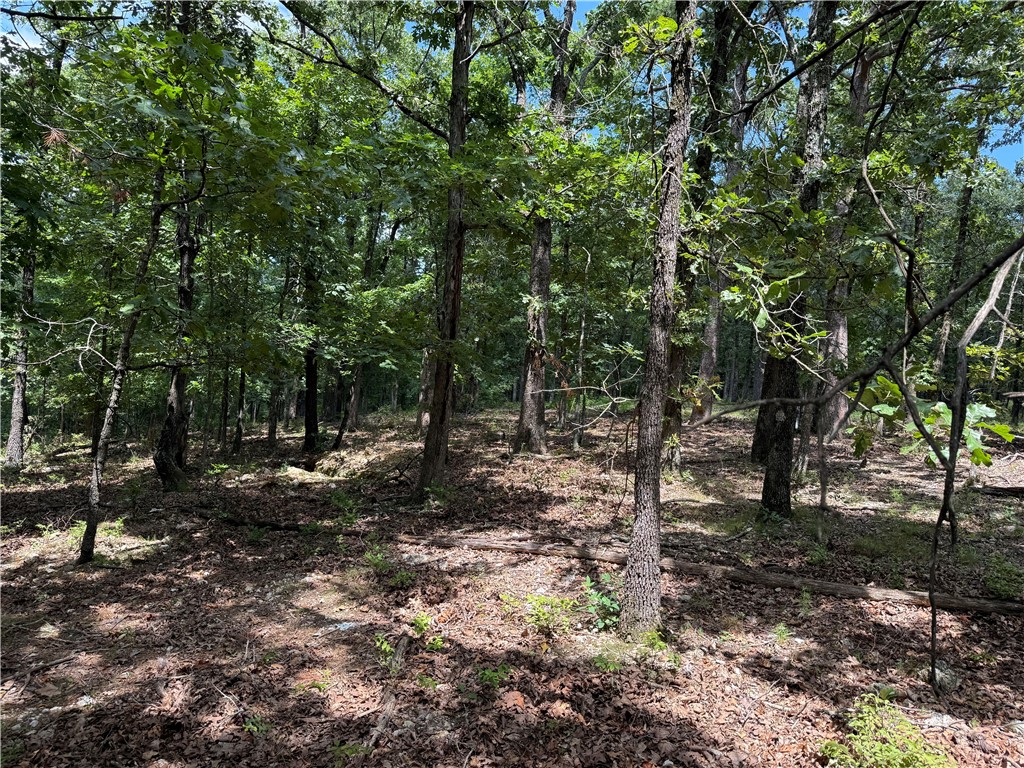 Lake Lucerne Subdivision - Land