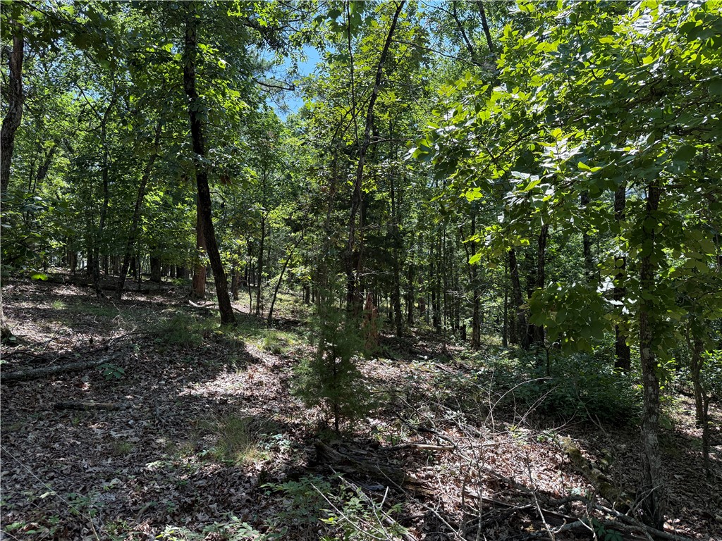 Lake Lucerne Subdivision - Land