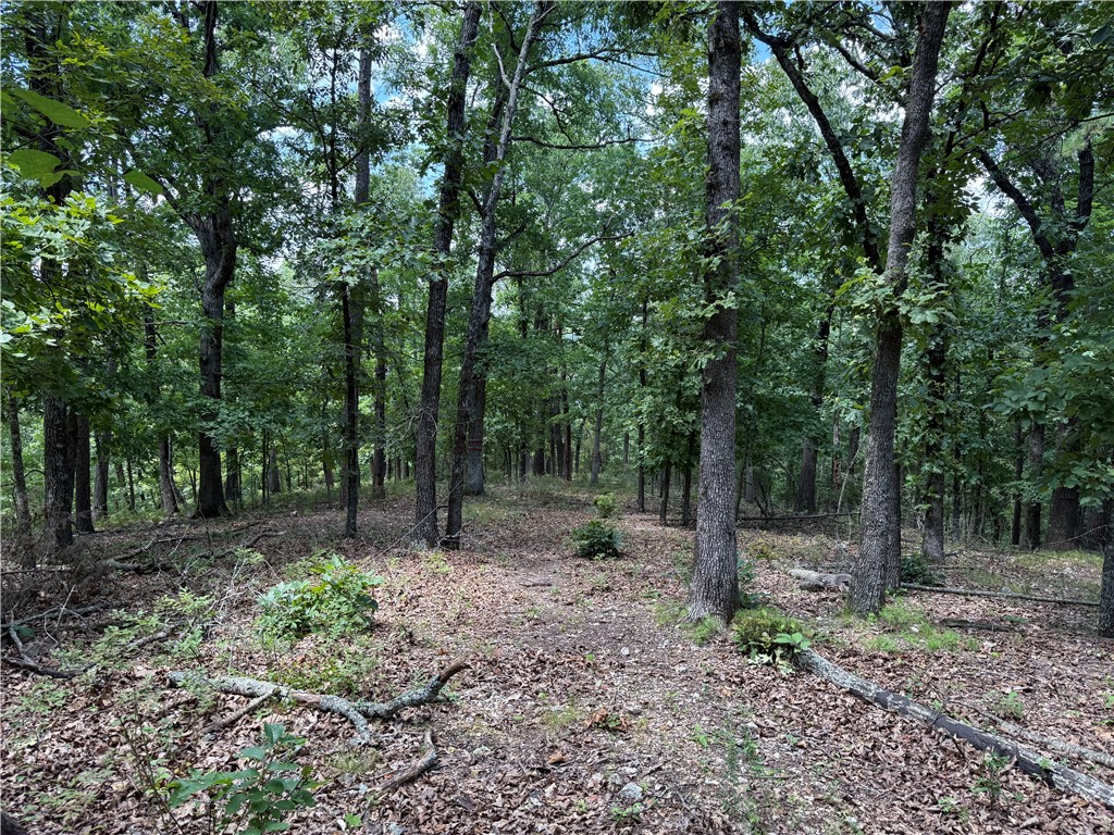 Lake Lucerne Subdivision - Land