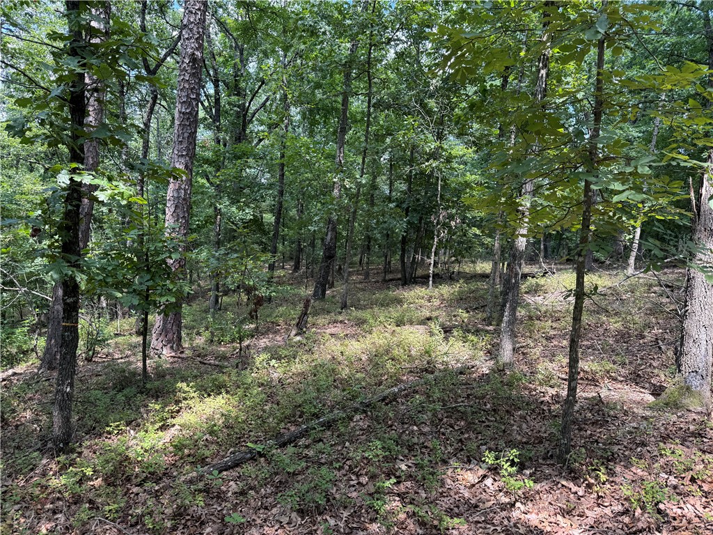 Lake Lucerne Subdivision - Land