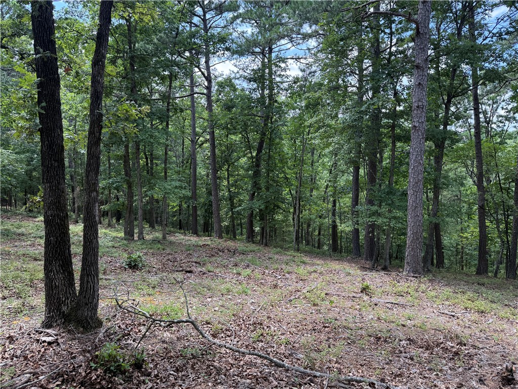 Lake Lucerne Subdivision - Land