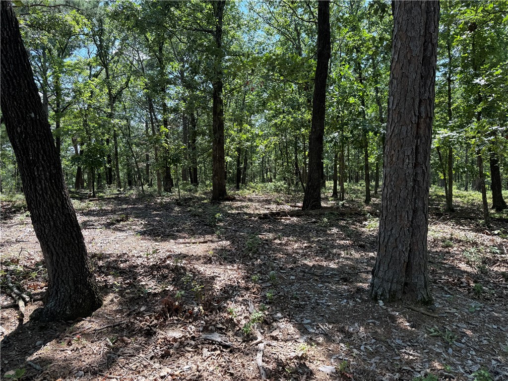 Lake Lucerne Subdivision - Land