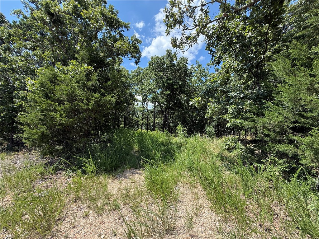 Lake Lucerne Subdivision - Land