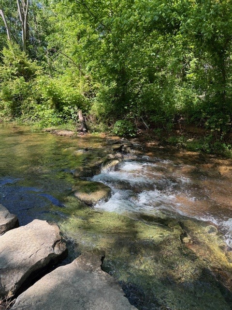 Discover a rare opportunity to own 9.7 acres of prime unimproved land in the heart of Bella Vista, featuring approximately 350 feet of frontage along beautiful Browning Creek. Ideally located at the Little Sugar Trailhead and adjacent to Scottsdale Golf Course, this property is an outdoor enthusiast’s dream with direct access to mountain biking, golf, and the peaceful serenity of rushing creek waters and scenic natural surroundings. This unique property offers privacy, recreation, and development potential, along with access to Bella Vista utilities and POA amenities. Conveniently located just a short drive from the Jane, Missouri shopping center and dining options, this property is truly a rare gem!