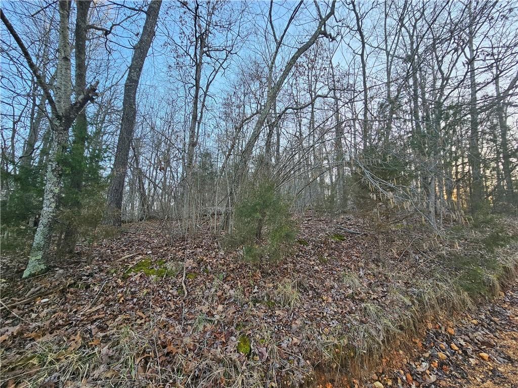 Monte NE Shores Unit 1 Rurban - Land