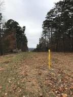 13.1 Acres of land with some good timber, lots of Pine trees, Natural Gas Easement across the property, lots of road frontage, lots of good building sites.