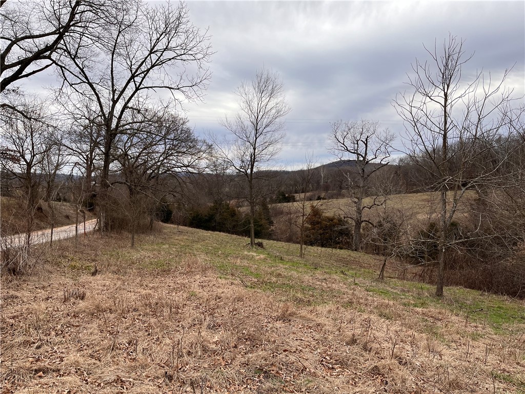 5 Acres surveyed off of larger parcel. Rural water & electricity available at the street.