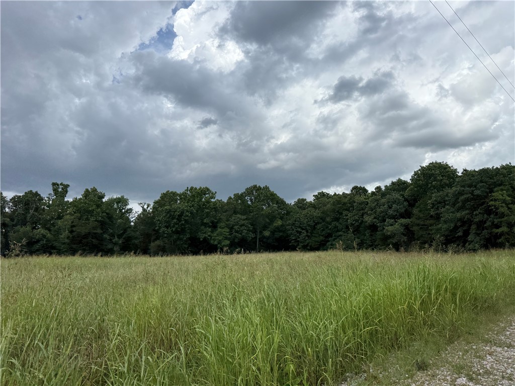 Cedar Ranch Estates - Land