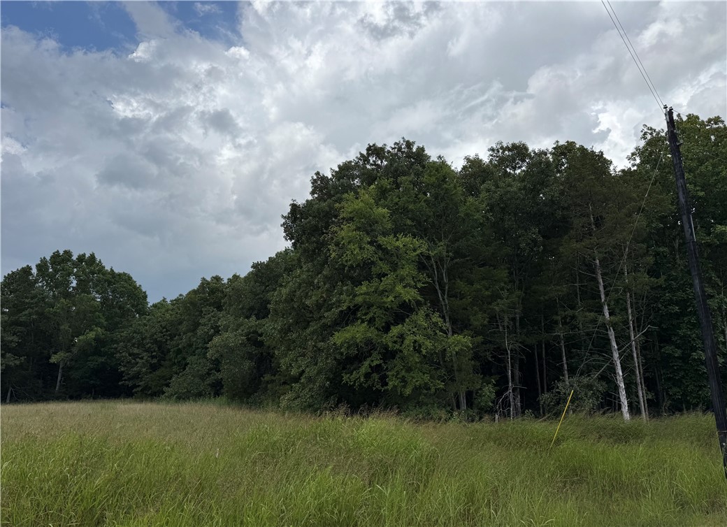 Cedar Ranch Estates - Land