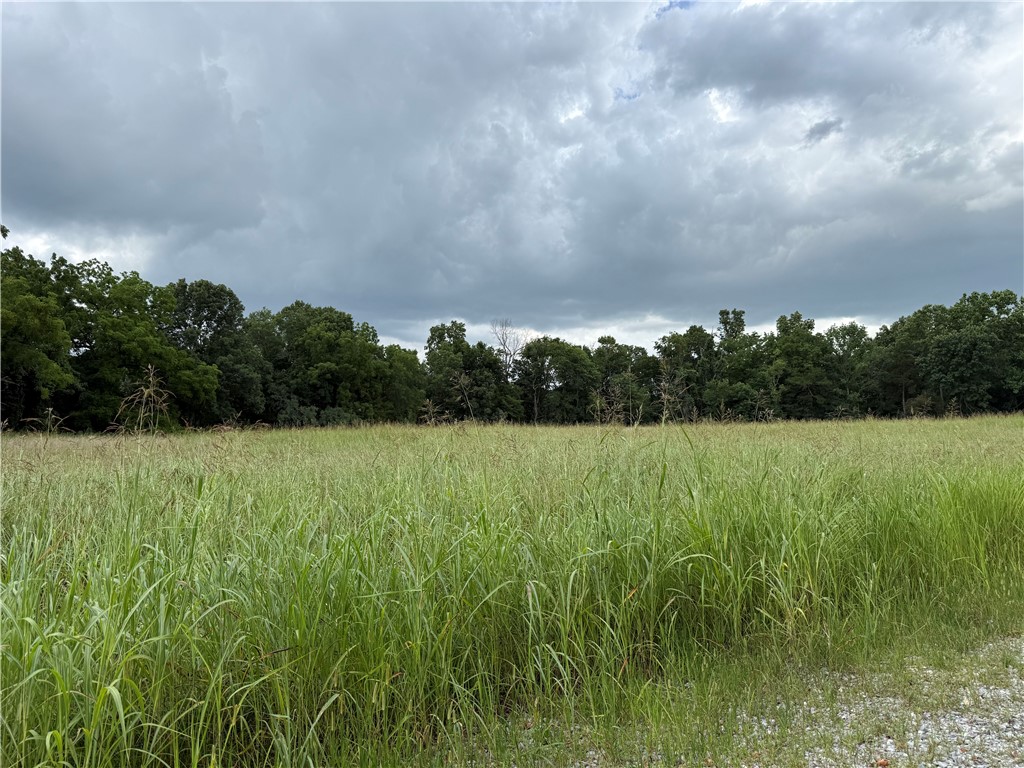 Cedar Ranch Estates - Land