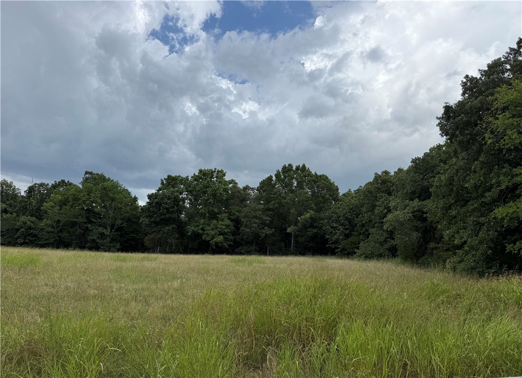 Cedar Ranch Estates - Land