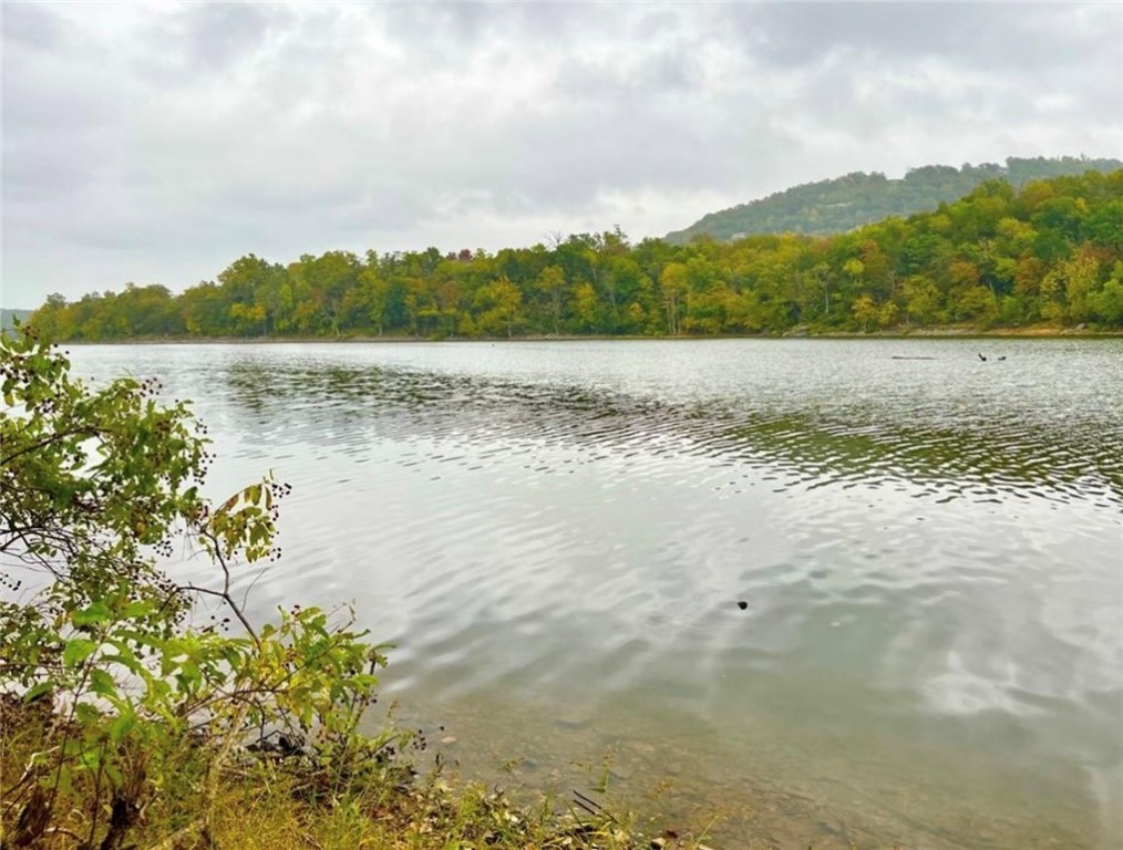 Build your dream home or invest in this gorgeous lakefront lot in the peaceful Holiday Island community on Table Rock Lake! This 0.33-acre parcel  offers beautiful lake views, a low Corps of Engineers line, and utilities available at the street  Located on a paved road with a gentle slope—ideal for building.
Additional  Adjacent LOT #7 is also being offered, these two parcels can be combined together in a single transaction. MLS#1324440
MLS 1324440
Holiday Island features a wide range of amenities:
2 championship golf courses
Full-service marina
Clubhouse, pool, tennis courts, walking trails
Nearby shopping, restaurants, and healthcare
Whether you're looking to build now or later, this lot provides excellent value and opportunity. Lakefront, utilities ready, and priced to move—this one won’t last long!
**Please do not disturb neighboring homes - If Directions are needed please contact Agent, AGENT Sign is located on the lot facing Sailboat Drive**