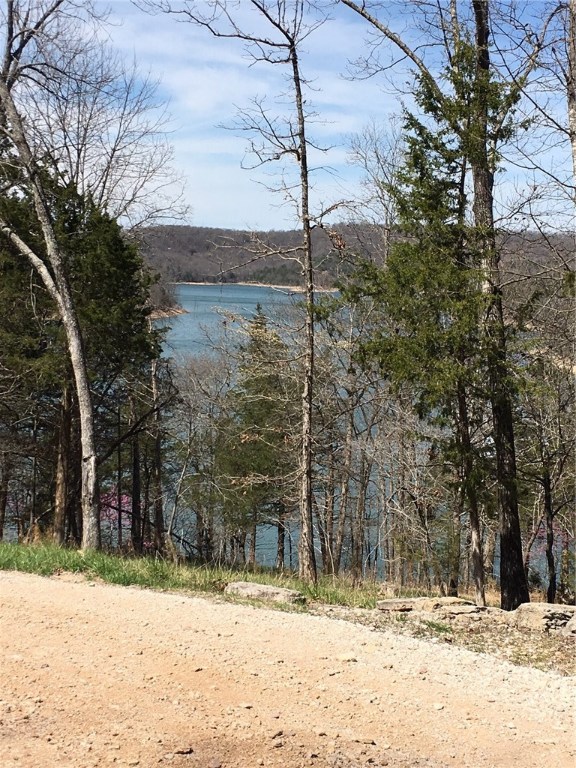 5 acres with excellent Beaver lake view. Community well, ready for your dream home.
