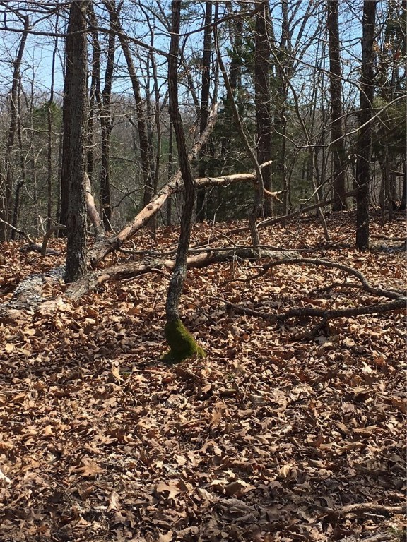 Glen Oaks - Land