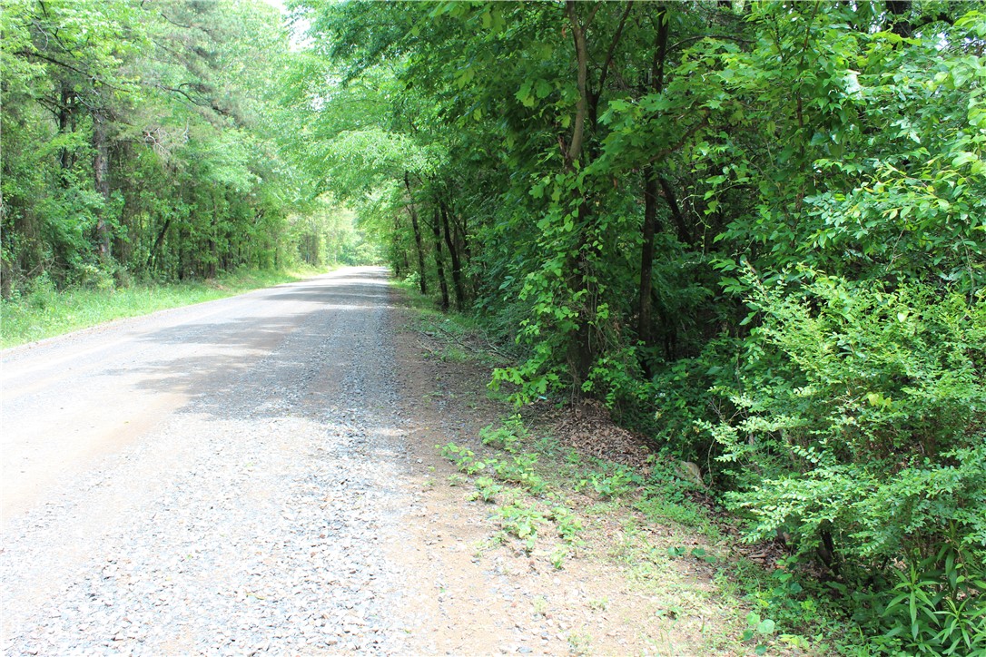 10+/- acre build site in Yell County

Tract 1 of 5, a 10+/- acre building site, is conveniently situated between Dardanelle and Danville. The property is located on County Road 426, west of Dardanelle. Comprised of young growth pine and hardwoods, the clearing required for a homesite will be minimal. The property is positioned 0.2 miles from the Ozark National Forest, providing abundant hunting and recreational opportunities directly accessible from the location.