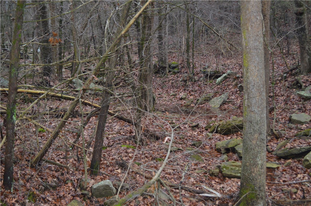 . - Land