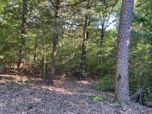 With over 1/2 of an acre you can build your new home and have a plenty of yard space to enjoy your hobbies or let the kids play. Enjoy an established subdivision, close to the lake with easy access to I 40 and shopping.