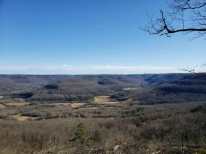 Spectacular best-of-the-best Arkansas Grand Canyon VIEW!!! 10.80 wooded acres with rural water, electric, and phone available.  Nice building site.