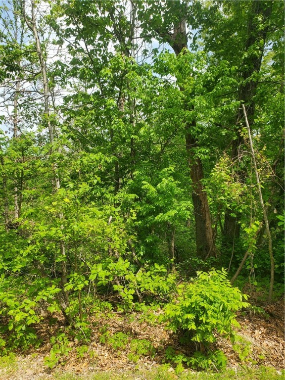 This west facing lot is near the Bamboozled Trail and close to Lake Avalon and the Lake Avalon Boat Launch.  Empty lots on either side and backs up to common property.  Call Agent with questions.