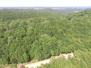 Own a piece of the Ozarks! Great wooded building site not far from Berryville, about 10 miles from Eureka Springs, about 45 minutes to Branson MO, close to Kings River fishing and floating, close to Table Rock Lake.